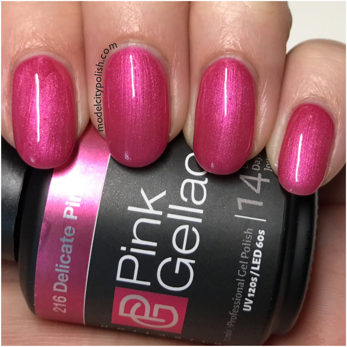 The Cruise Collection By Pink Gellac Model City Polish 5716