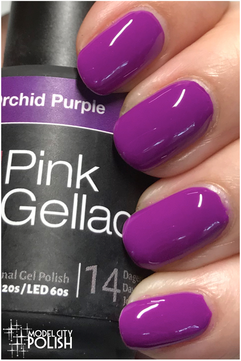 Tropical Island Collection from Pink Gellac